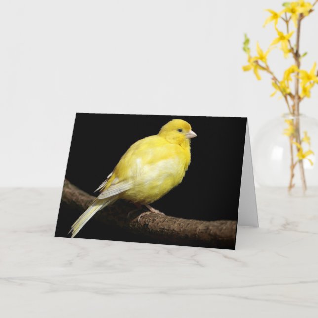 Cartão Personalised Yellow Canary (Flor Amarela)