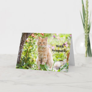 Cartão Personalizado de Simpatia para Gato Memoria