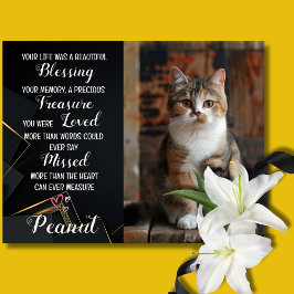 Cartão Personalizado de Simpatia por Gato com Foto