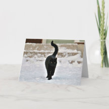 Cartão Personalizado Gatinho Preto Fofo