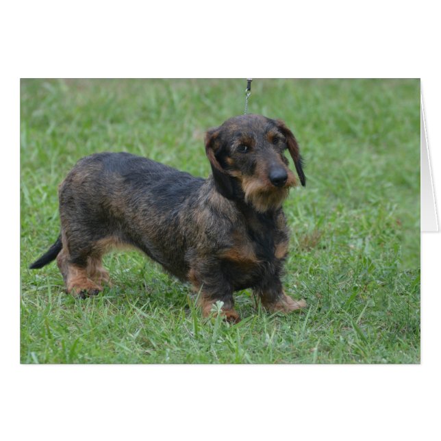 Cartão Personalizar produto (Frente Horizontal)