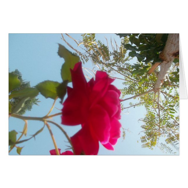 Cartão Personalizar produto (Frente Horizontal)