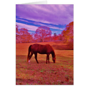 Cartão Personalizar produto