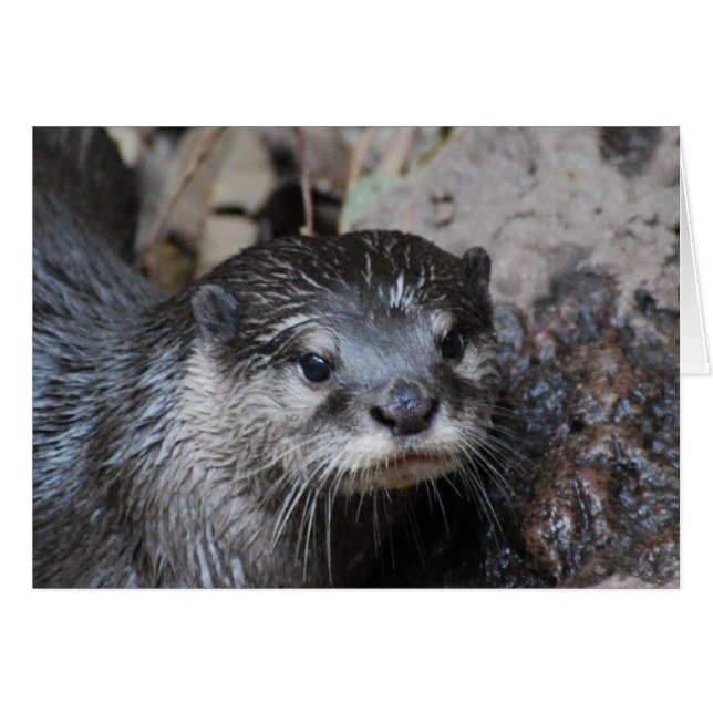 Cartão Personalizar produto (Frente Horizontal)