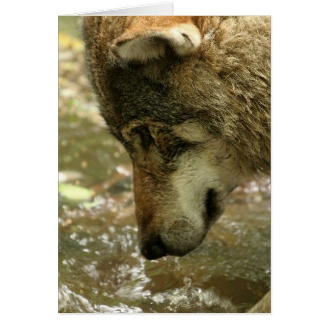 Cartão Personalizar produto (Frente)