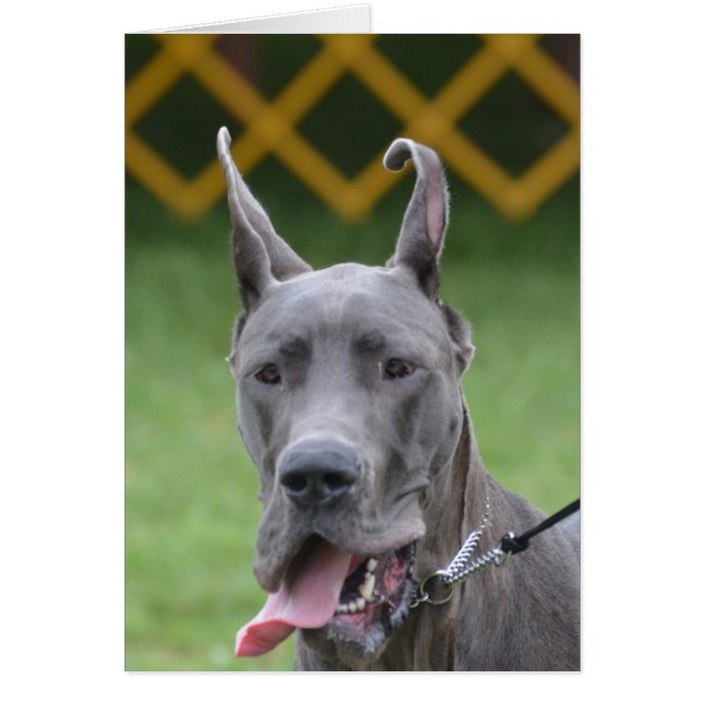 Cartão Personalizar produto (Frente)