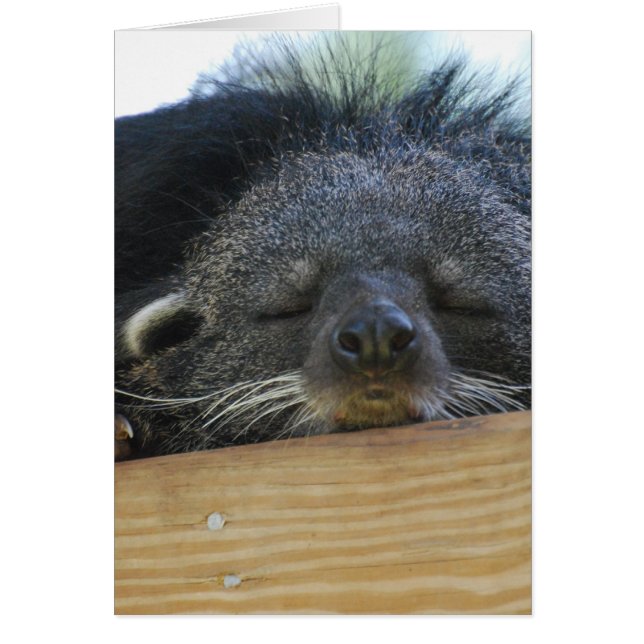 Cartão Personalizar produto (Frente)