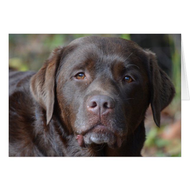 Cartão Personalizar produto (Frente Horizontal)