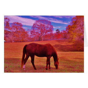 Cartão Personalizar produto