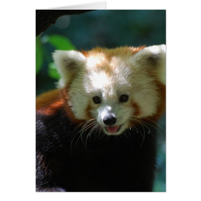 Cartão Personalizar produto (Frente)