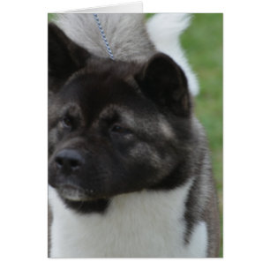 Cartão Personalizar produto