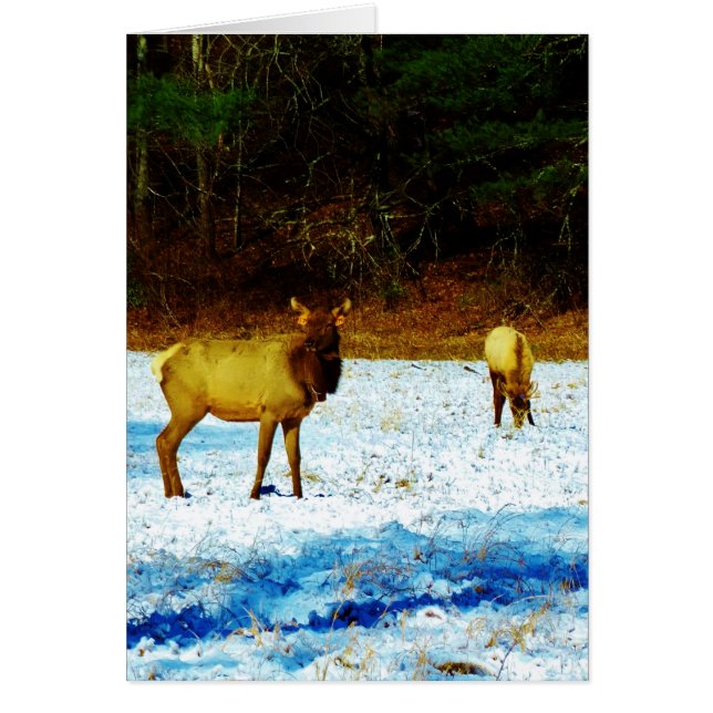Cartão Personalizar produto (Frente)