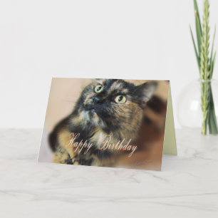 Cartão Personalizar TazzieBday