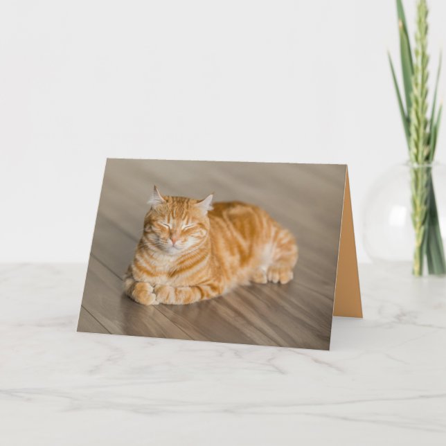 Cartão Personalizável de Gato Laranja Gato (Frente)