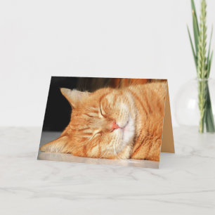 Cartão Personalizável do Gatinho Laranja Fofinho