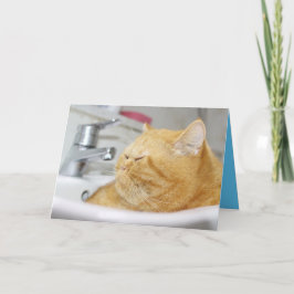 Cartão Personalizável do Gatinho Laranja Fofo