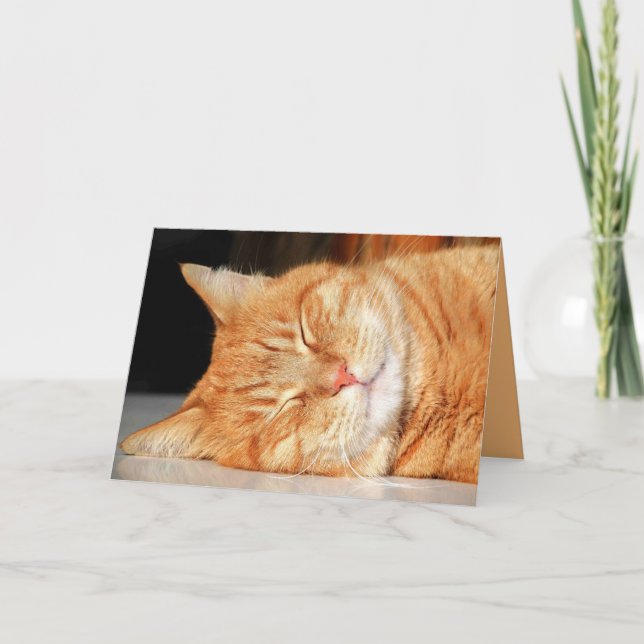 Cartão Personalizável do Gatinho Laranja Fofo (Frente)