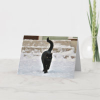 Cartão Personalizável Gato Gato Preto