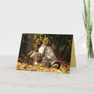 Cartão Personalizável Gato Gato Siamês Gato