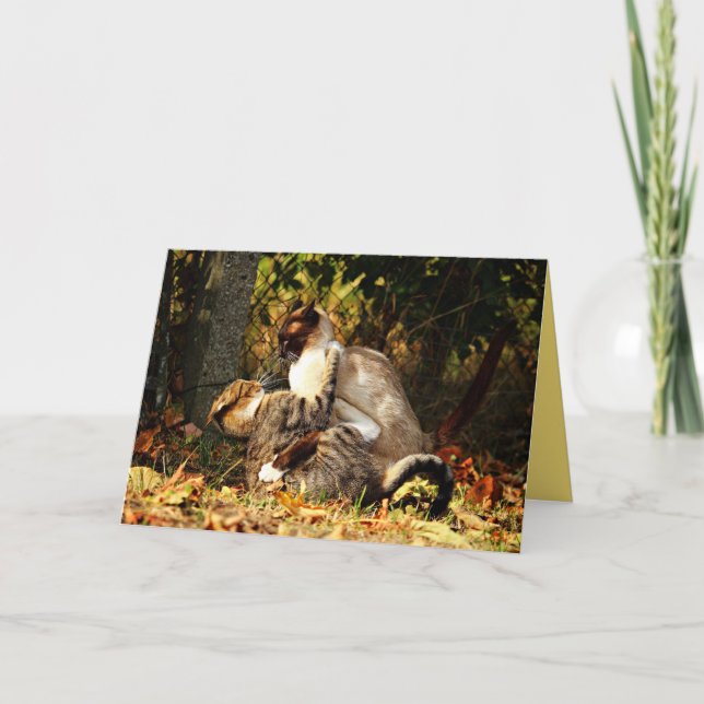 Cartão Personalizável Gato Gato Siamês Gato (Frente)