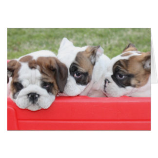 Cartão personalizável Puppy Love