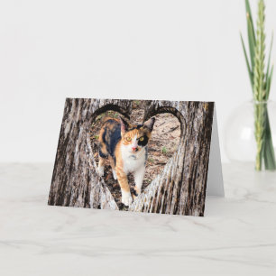 Cartão Personalize com seu próprio Pic!