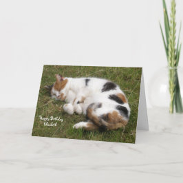 Cartão Personalized Calico cat curled up asleep Birthday