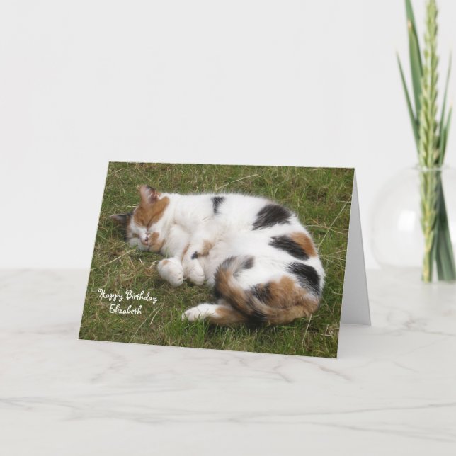 Cartão Personalized Calico cat curled up asleep Birthday (Frente)