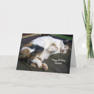 Cartão Personalized Calico cat curled up decking Birthday