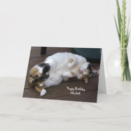 Cartão Personalized Calico cat curled up decking Birthday