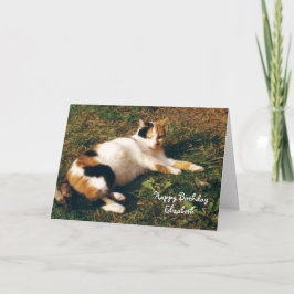 Cartão Personalized Calico cat sunbathing Birthday