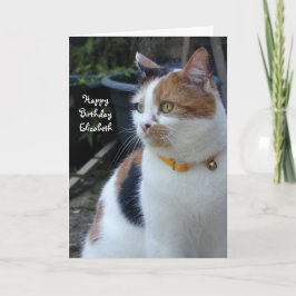Cartão Personalized Calico cute cat Birthday