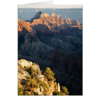 Cartão Perto Da Borda