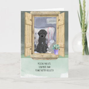Cartão Perto de Você Cachorro Negro Labradoodle na Janela