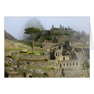 Cartão Peru, Machu Picchu. A antiga cidadela de