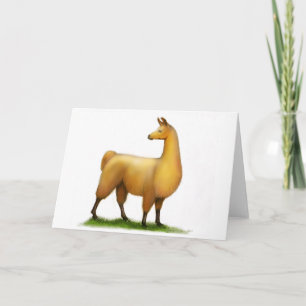 Cartão Peruvian Llama