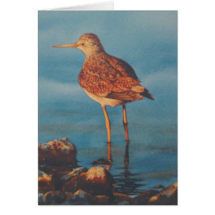 Cartão Pés amarelos