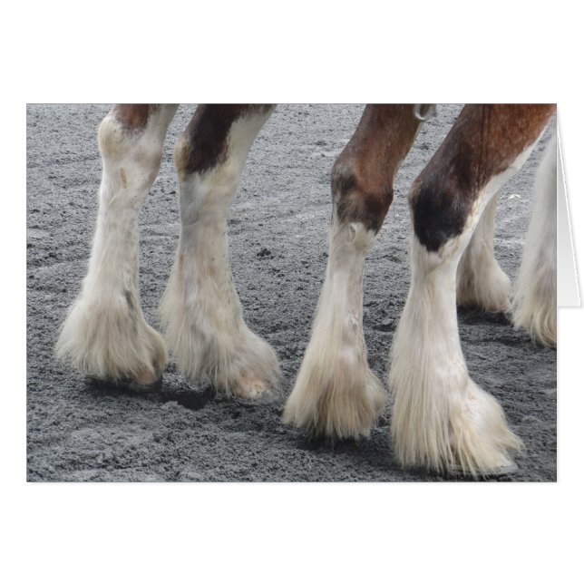 Cartão Pés com penas (Dentro de Vazio) (Frente horizontal)