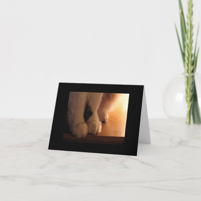 Cartão Pés de gato (Frente)