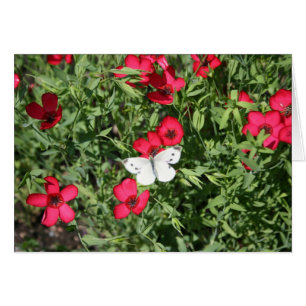 Cartão Pesadelo no linho