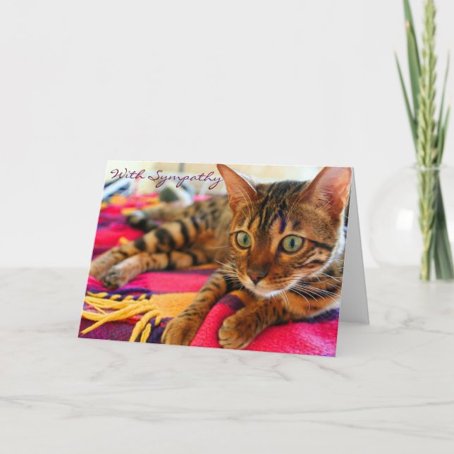 Cartão Pêsames com o gato bonito de Bengal da simpatia (Frente)