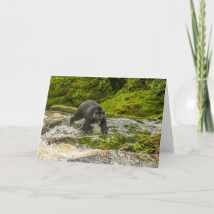 Cartão Pesca com Urso Negro   Qua Creek British Columbia