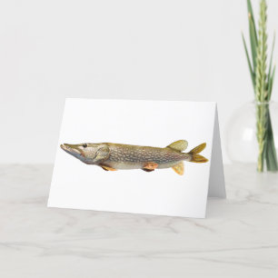 Cartão Pesca de Pike Muski