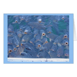 Cartão Pesca do hidromel do lago