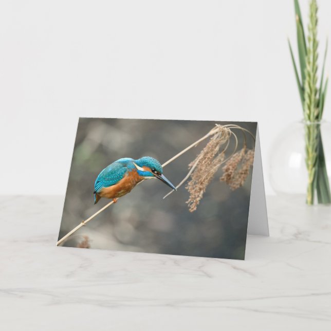 Cartão Pesca do pescador-de-galinha (Frente)