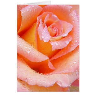 Cartão Pêssego Rosa com placa de mastigação