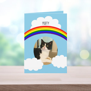 Cartão Pet Cat Rainbow Photo Sympathy