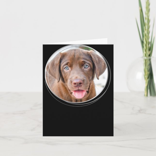 Cartão Pet Christmas D Dog Photo Holiday T Shirt  (Frente)