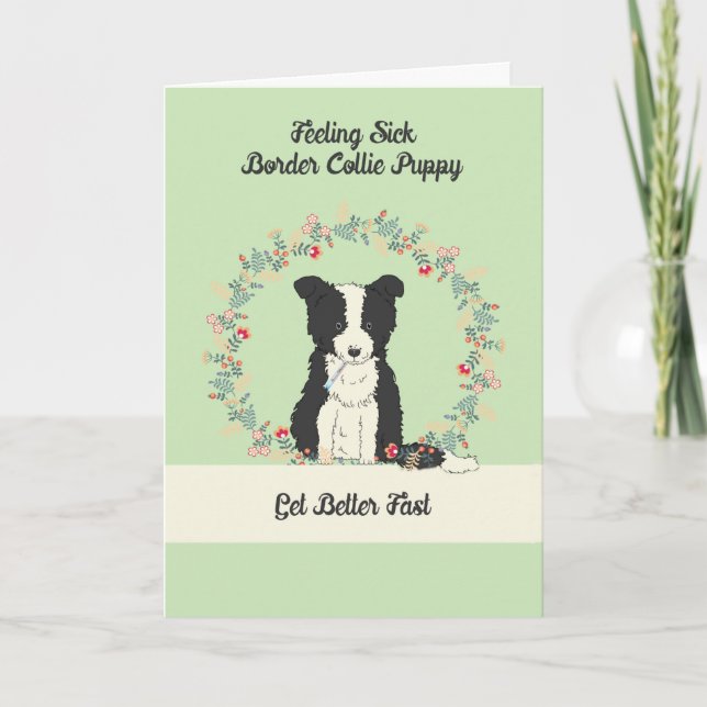 Cartão Pet Get well Card for Border Collie Puppy (Frente)