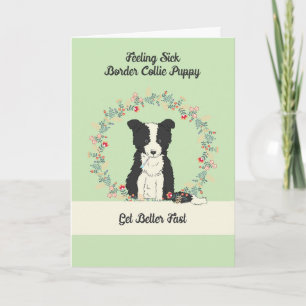Cartão Pet Get well Card for Border Collie Puppy